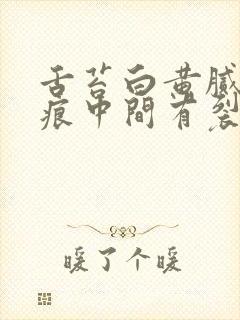 舌苔白黄腻有齿痕中间有裂纹