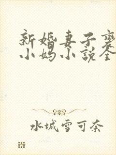 新婚妻子变成了小妈小说全文阅读