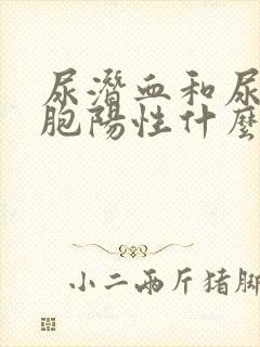 尿潜血和尿白细胞阳性什么意思