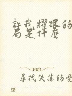 许我耀眼的大结局是什么