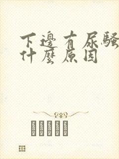 下边有尿骚味是什么原因