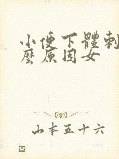 小便下体刺痛什么原因女