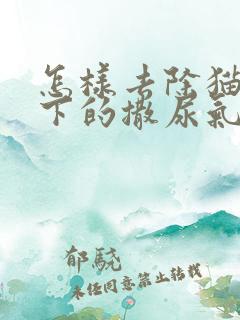 怎样去除猫狗留下的撒尿气味