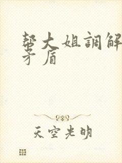 帮大姐调解家庭矛盾