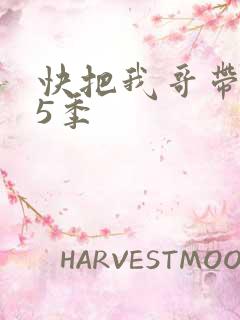 快把我哥带走第5季