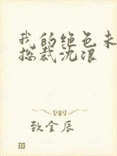 我的绝色未婚妻总裁沈浪