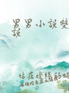 男男小说双性小说