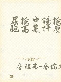 尿检中镜检白细胞高是什么意思