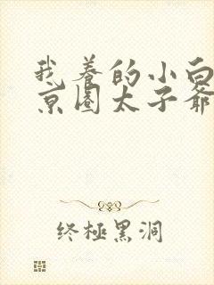 我养的小白脸是京圈太子爷完整版