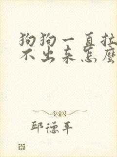 狗狗一直拉尿拉不出来怎么办