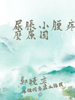 尿胀小腹疼是什么原因