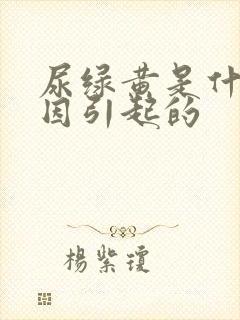 尿绿黄是什么原因引起的