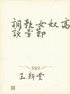 调教女奴高h小说章节