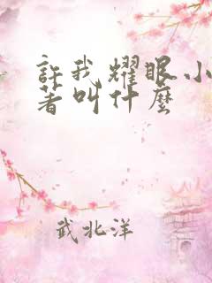 许我耀眼小说原著叫什么