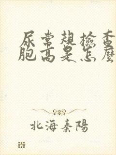 尿常规检查白细胞高是怎么回事