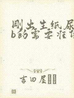 刚出生纸尿裤nb的需要准备多少