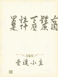 男性下体右边疼是什么原因