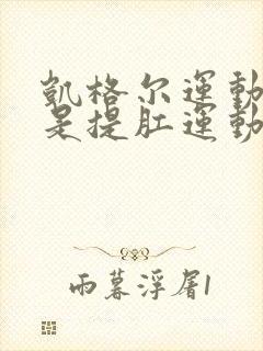 凯格尔运动是不是提肛运动