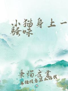 小猫身上一股尿骚味