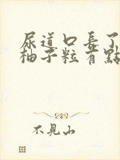 尿道口长了一排柚子粒有点痒