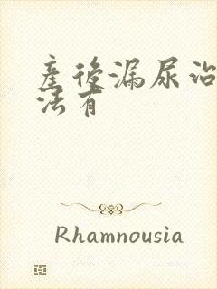 产后漏尿治疗方法有