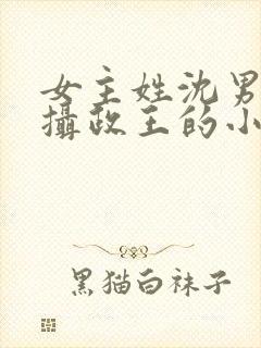 女主姓沈男主是摄政王的小说