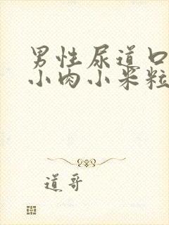 男性尿道口有个小肉小米粒