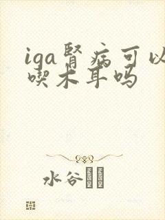 iga肾病可以吃木耳吗