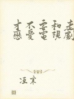 才不要和老板谈恋爱电视剧免费