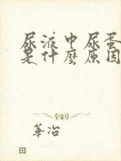 尿液中尿蛋白高是什么原因