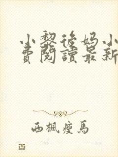 小黎后妈小说免费阅读最新章节更新