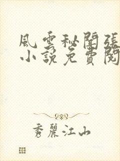 风云秘闻张志成小说免费阅读全文