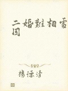 二婚难相处的原因