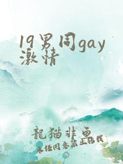 19男同gay激情