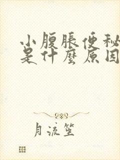 小腹胀便秘尿频是什么原因引起