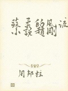 苏柔的风流人生小说赵刚