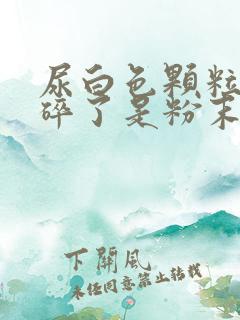 尿白色颗粒 碾碎了是粉末状