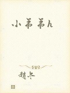 小弟弟h