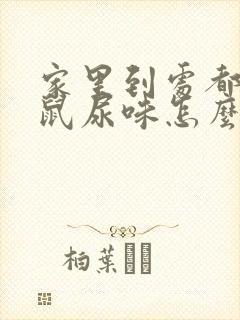 家里到处都是老鼠尿味怎么办