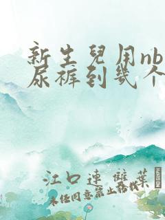 新生儿用nb纸尿裤到几个月可以