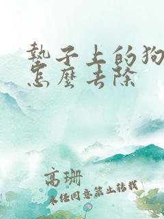 垫子上的狗尿味怎么去除