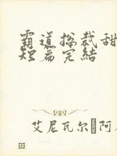 霸道总裁甜宠文短篇完结