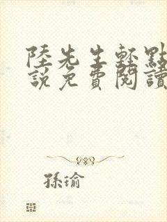 陆先生轻点抱小说免费阅读