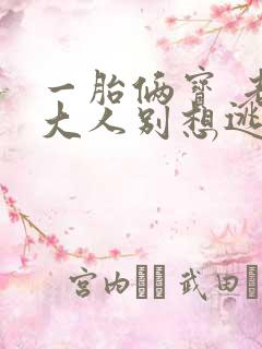 一胎俩宝 老婆大人别想逃全文免费阅读