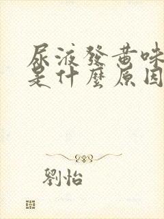 尿液发黄味道重是什么原因