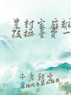 农村家庭离婚小孩抚养费一般是多少