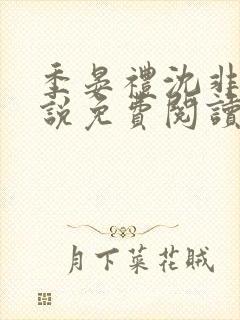 季晏礼沈非璃小说免费阅读