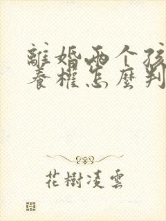 离婚两个孩子抚养权怎么判