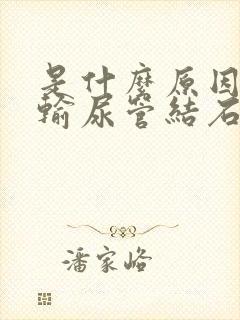 是什么原因会得输尿管结石