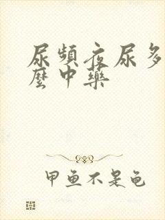 尿频夜尿多吃什么中药